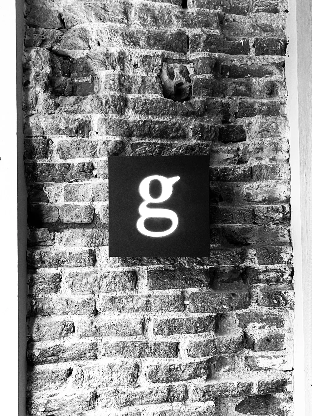 EL GORRIÓN (2)