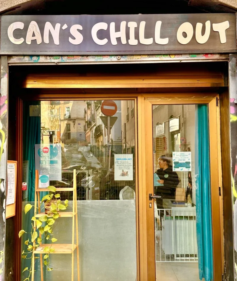 GUARDERÍA CAN´S CHILL OUT (4)