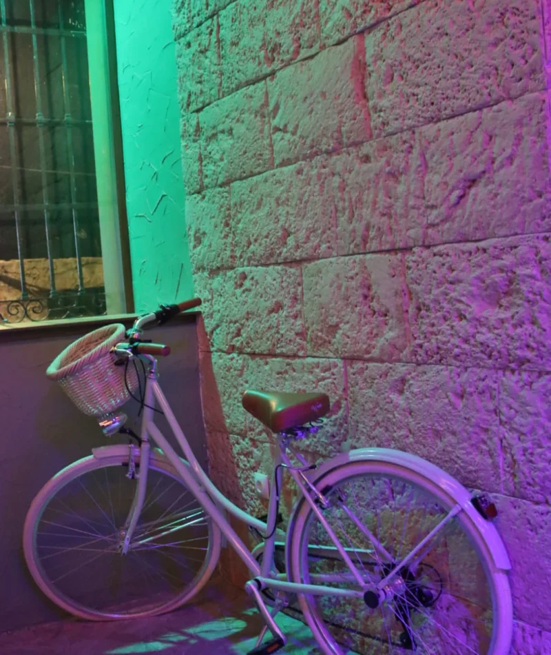 Jarama gastro show bici