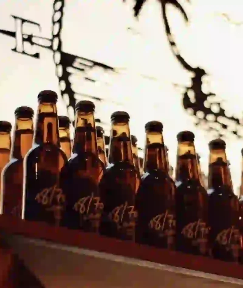 La Buga del Lobo cervezas